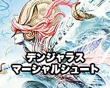 目的不明の作戦 販売 | [DMX-21] マスターズ・クロニクル・パック 英雄