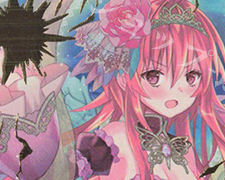 WR 麗しき解放 迦陵頻伽 販売 | [B38] 極点超越編 無限