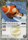 BS24-031 C アクアクマノミ