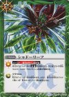 BS24-105 C シャドーリーフ
