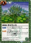 BS25-066 C 翠牙草の実