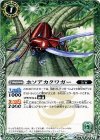 BS29-015 C ホソアカクワガー