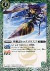 BS31-028 C 甲蛾忍トックリワスプ