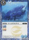 BS33-059 C マッコウセラス