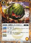 BS35-052 C 果物人スイカドン