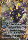 BS36-047 M 果物人キョ・ホーン