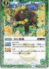  BS65-022 C カピ薔薇 