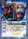C 大海賊ジンベイダー