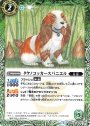 C タケノコッカースパニエル