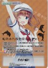 HF-199 GR 理想の艦長(箔押し入り)