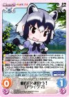 KF-006 R 明後日へ向かう!「アライグマ」