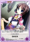 SKo-T16 T 妻の仕事