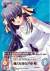 NV-179 SR 過去を知る「八重 桜」
