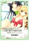 NV-295 C 真夏の休日 