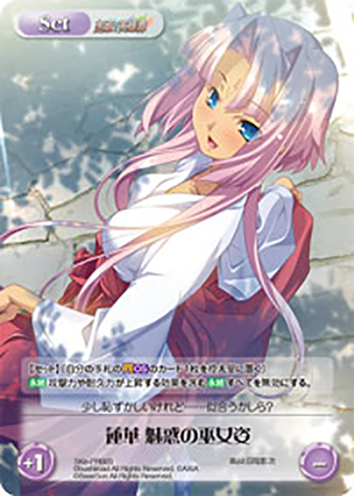 Amazon.co.jp: Chaos カオスTCG エクストラパック OS 真・恋姫