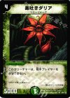 65/110 U 毒吐きダリア