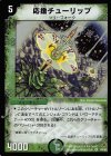 5/55 VR 応援チューリップ