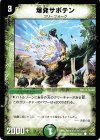 54/55 C 爆発サボテン