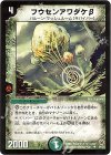 34/55 U フウセンアワダケβ
