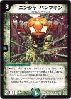 53/55 C ニンジャ・パンプキン