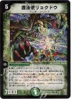 5/55 VR 護法僧リョクドウ