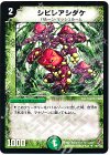 88/140 U シビレアシダケ