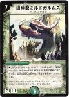 19/55/Y5 R 緑神龍ミルドガルムス
