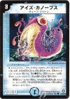 42/55/Y5 C アイズ・カノープス