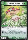  23/74 R コウバシポルチーニダケ 