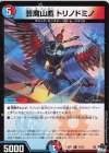  72/74 C 芸魔山鷹 トリノドミノ 