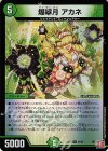 SR 絶海の虎将 ティガウォック(金トレジャー) 販売 | [DM24-EX3