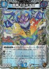  TF6/TF46 R-foil 罪無 ドロキオ垓(銅トレジャー) 