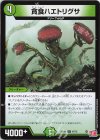 47/75 U 貪食ハエトリグサ 