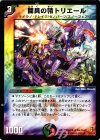  35/55/Y6 U 闘具の精トリエール 