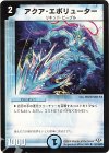 52/110/Y8 U アクア・エボリューター