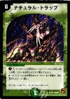 31/94 R ナチュラル・トラップ