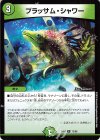  72/98 R ブラッサム・シャワー 