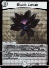 Black Lotus