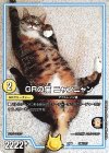 GRの猫 ニャンニャン