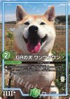 GRの犬 ワンワンワン