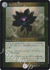 Black Lotus