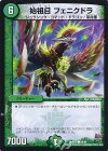  80/87 C 始祖目 フェニクドラ 