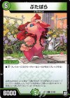  97/103 C ぶたばら 