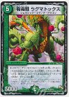 26/37 U 有毒類 ラグマトックス