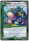  37/37 C 土隠類 ハコオシディーディ 