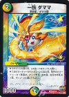 P29/Y15 C 一族 ダママ