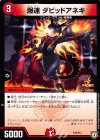 P78/Y17 - 爆速 ダビッドアネキ