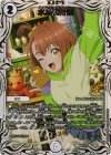 P52/Y23 C-foil 水晶設計図 