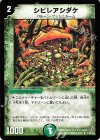 P40/Y4 U シビレアシダケ