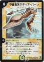SR 守護聖天ラディア・バーレ